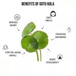 Meals by Mom – Vallarai Podi Centella / Gotu Kola Powder - 100gm - Image 4
